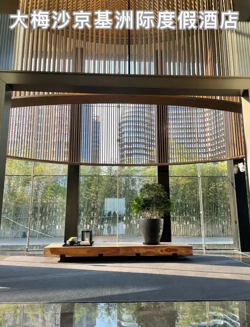 上海品茶工作室黄浦区茶室环境暖木商务茶室喝茶预约实拍
